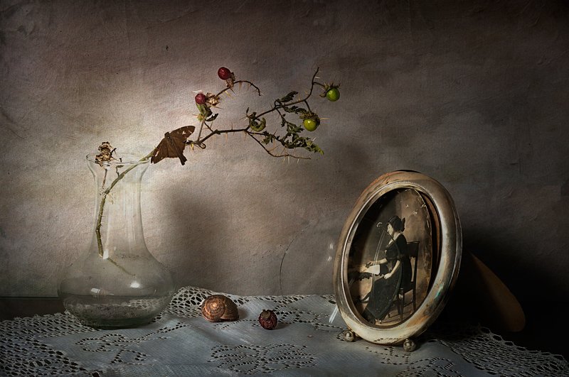 Abuela фото превью