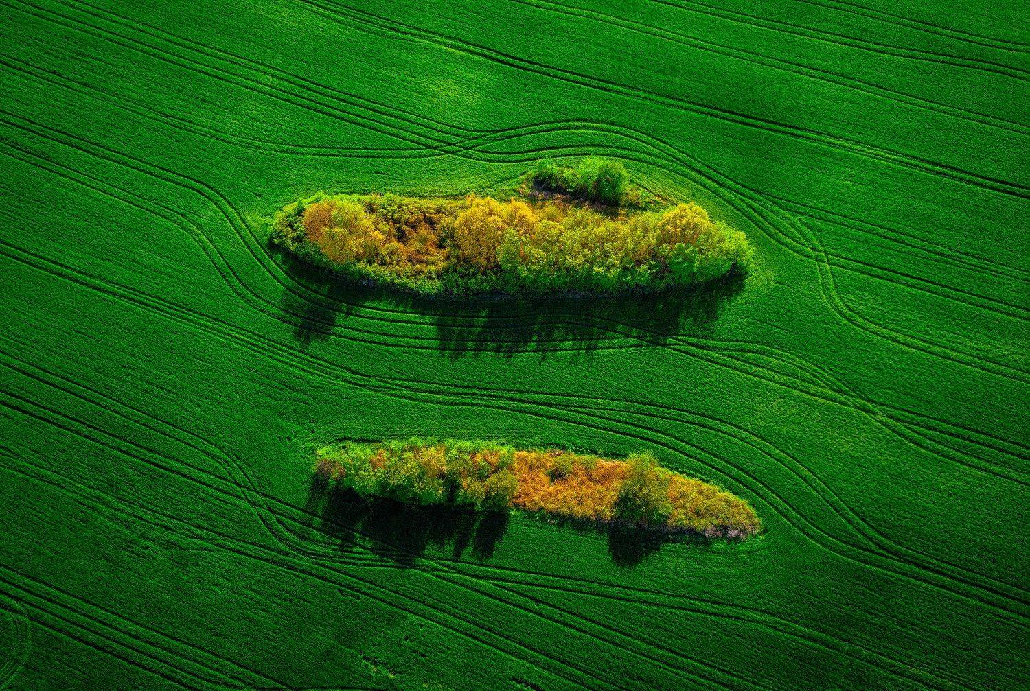 , Тодор Божков