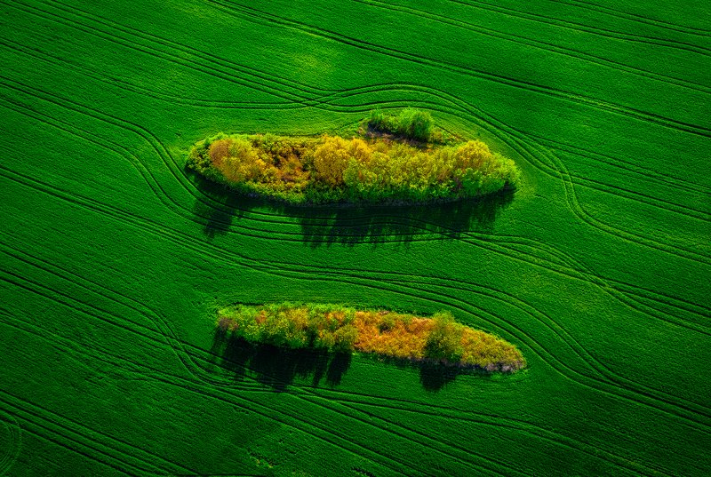 Twins фото превью