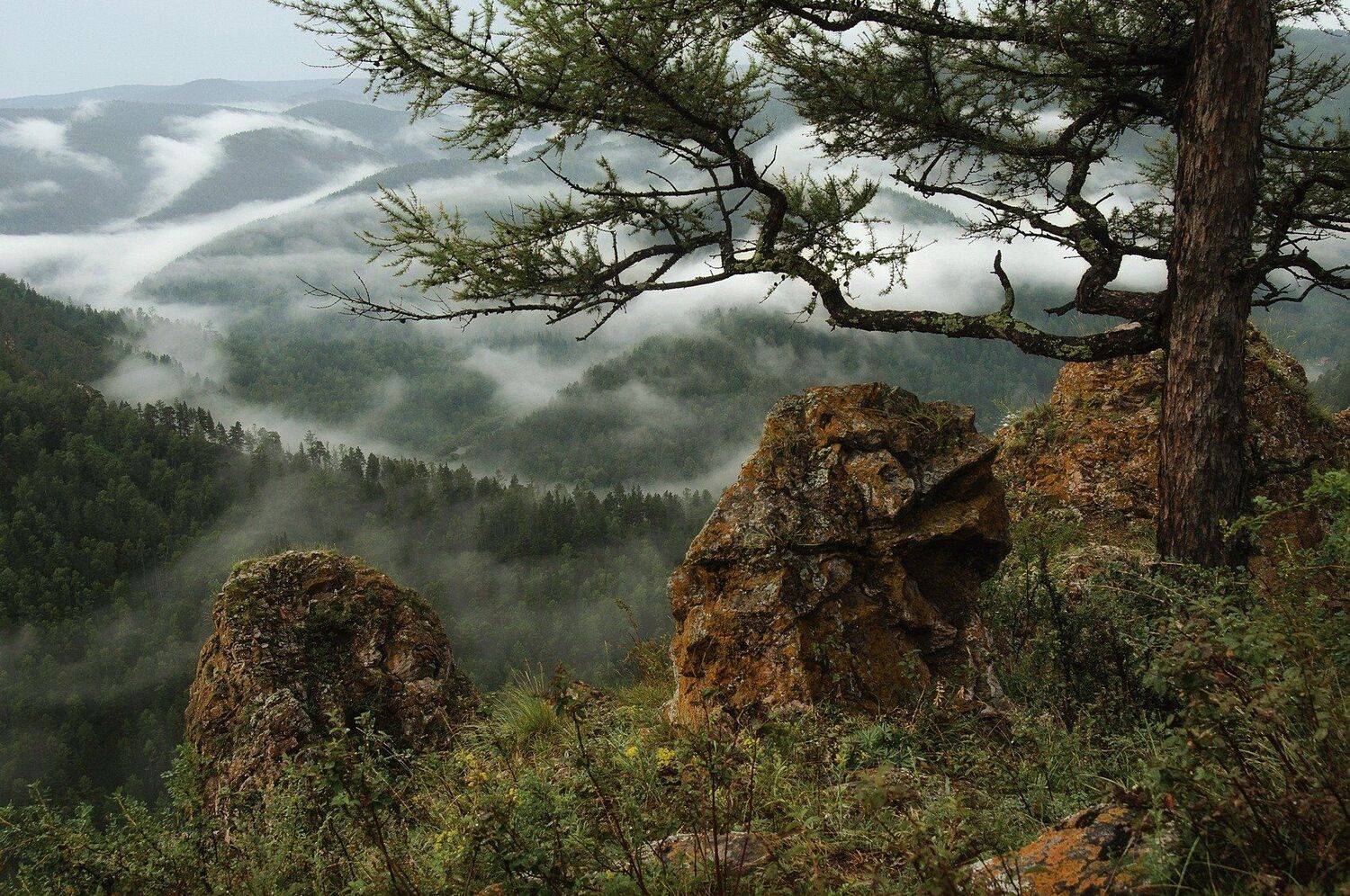 торгашинский хребет.. туман., Марина Фомина
