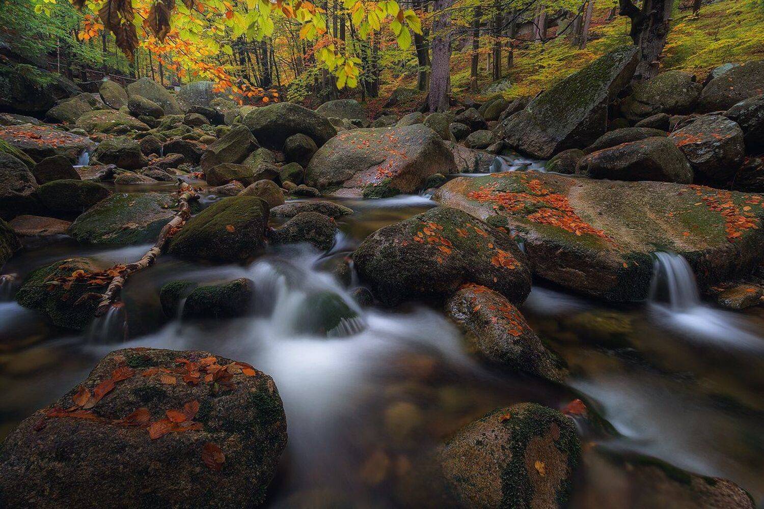 landscape,canon,mist,light,autumn,waterfall, Iza i Darek Mitręga