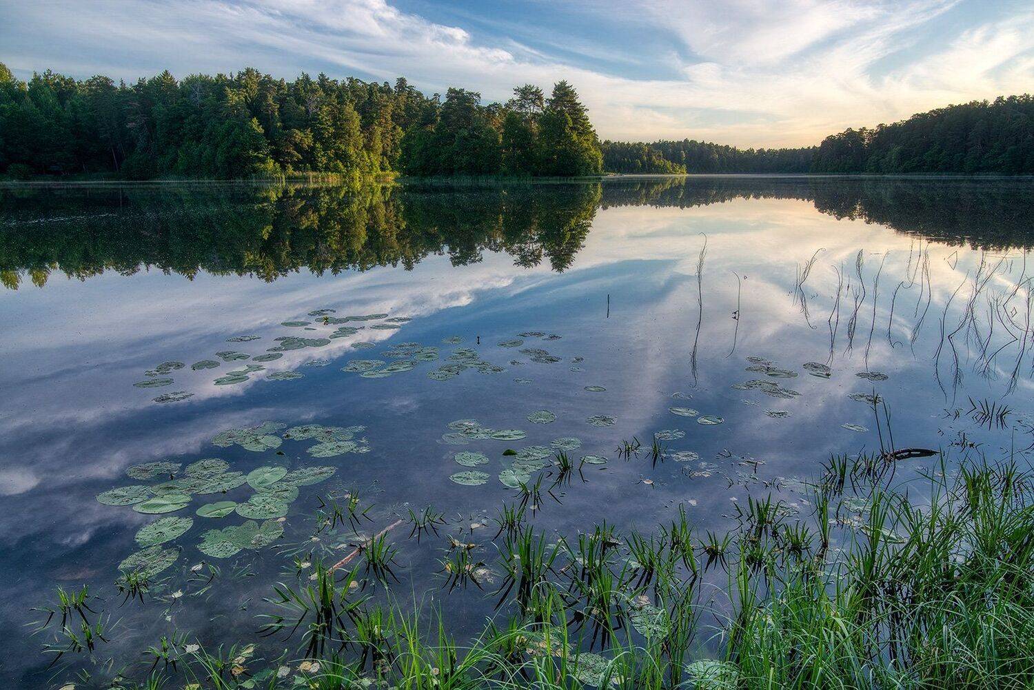 , Федотов Антон