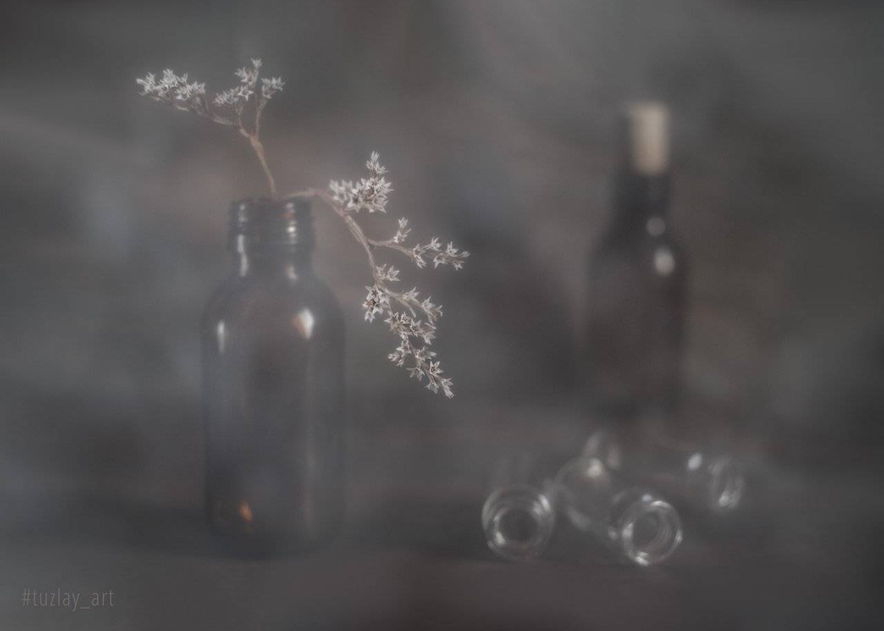пузырьки, бутылочки, бессмертник, звёздочки, боке, bokeh, гелиос 81н, софт, дымка, Владимир Тузлай