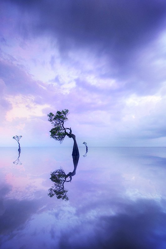 Gentiles on the sea фото превью
