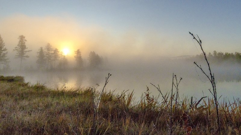 Туманное утро фото превью