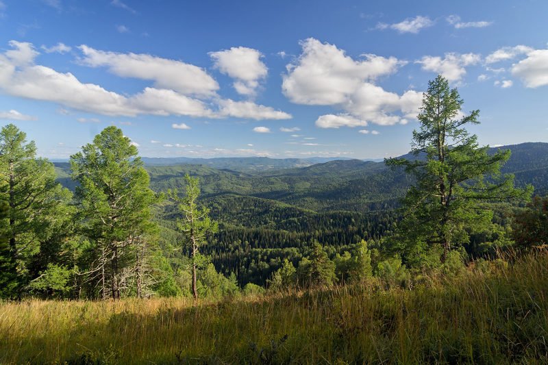 алтай, белокуриха, горы, воздух, алтайский край, гора крестик, белокуриха-2, чергинский хребет Прозрачный воздух Алтая фото превью