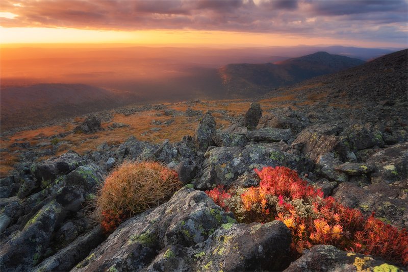 урал,горы,осень,золото,конжак,иовское плато,яркое,закат,небо,тайга,камни,лиственница, Осень в Уральских горах... фото превью