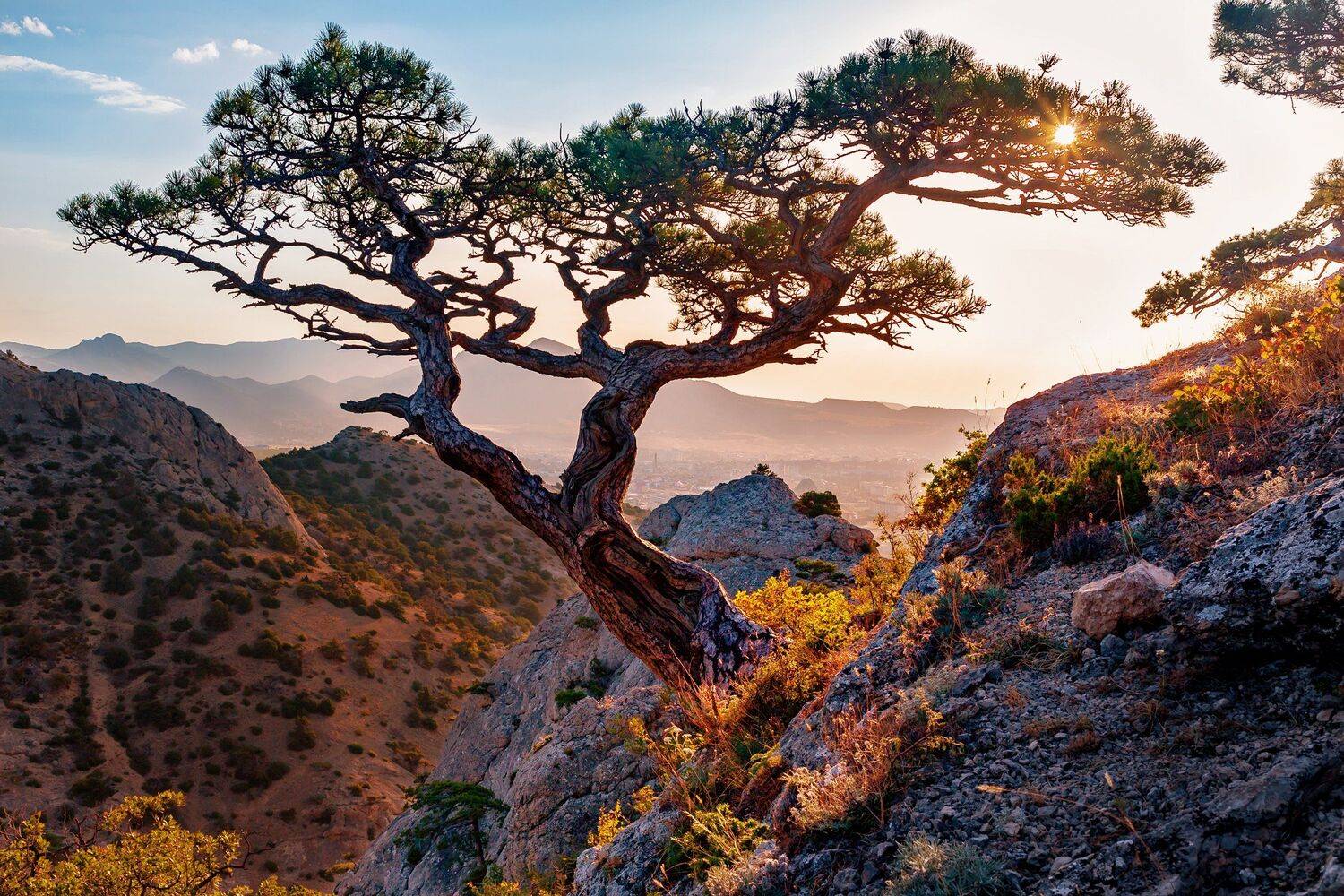 крым, черное море август 2019, Сергей Евдокимов