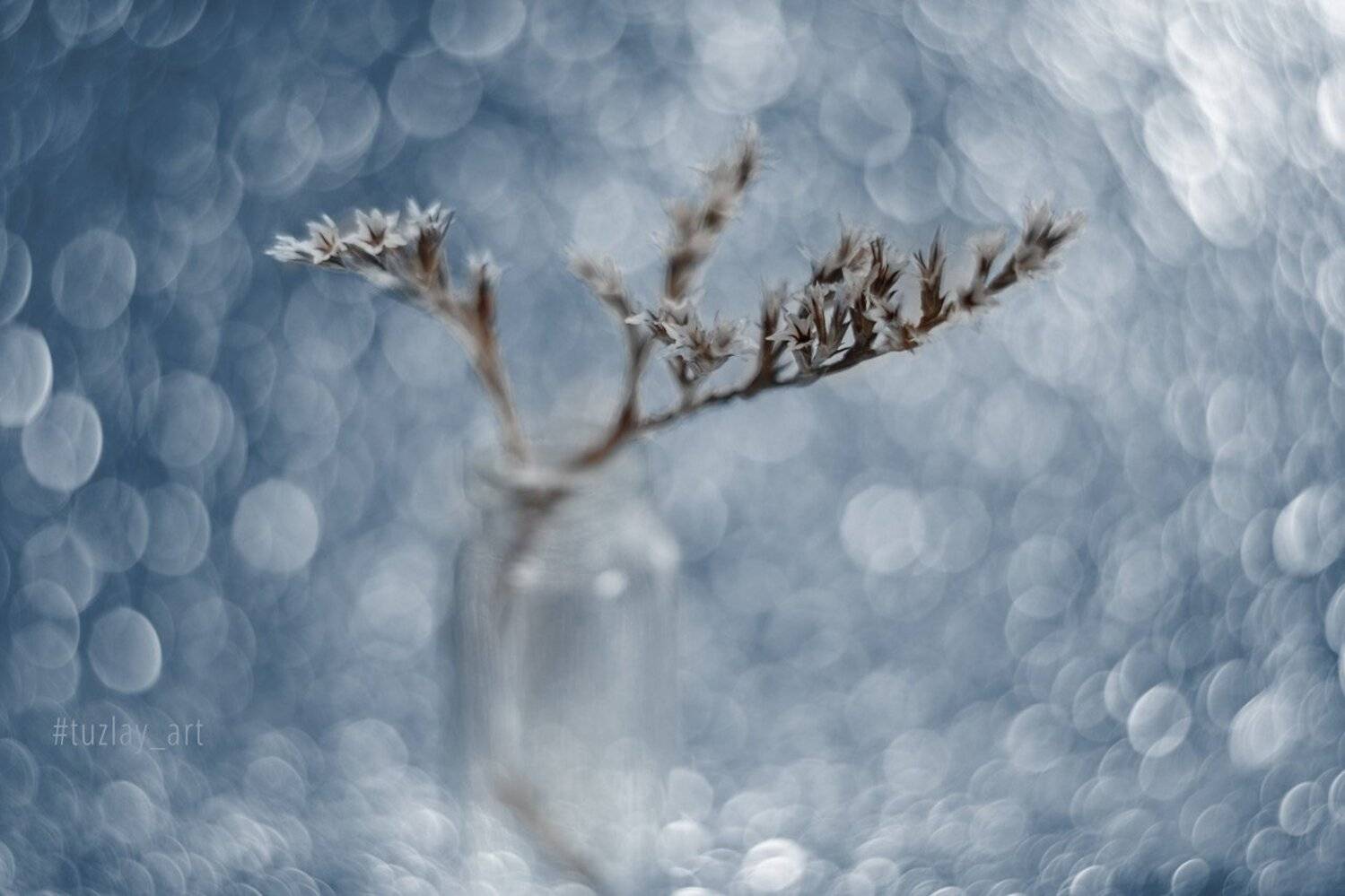 боке, bokeh, звездочки, гелиос-44, Владимир Тузлай