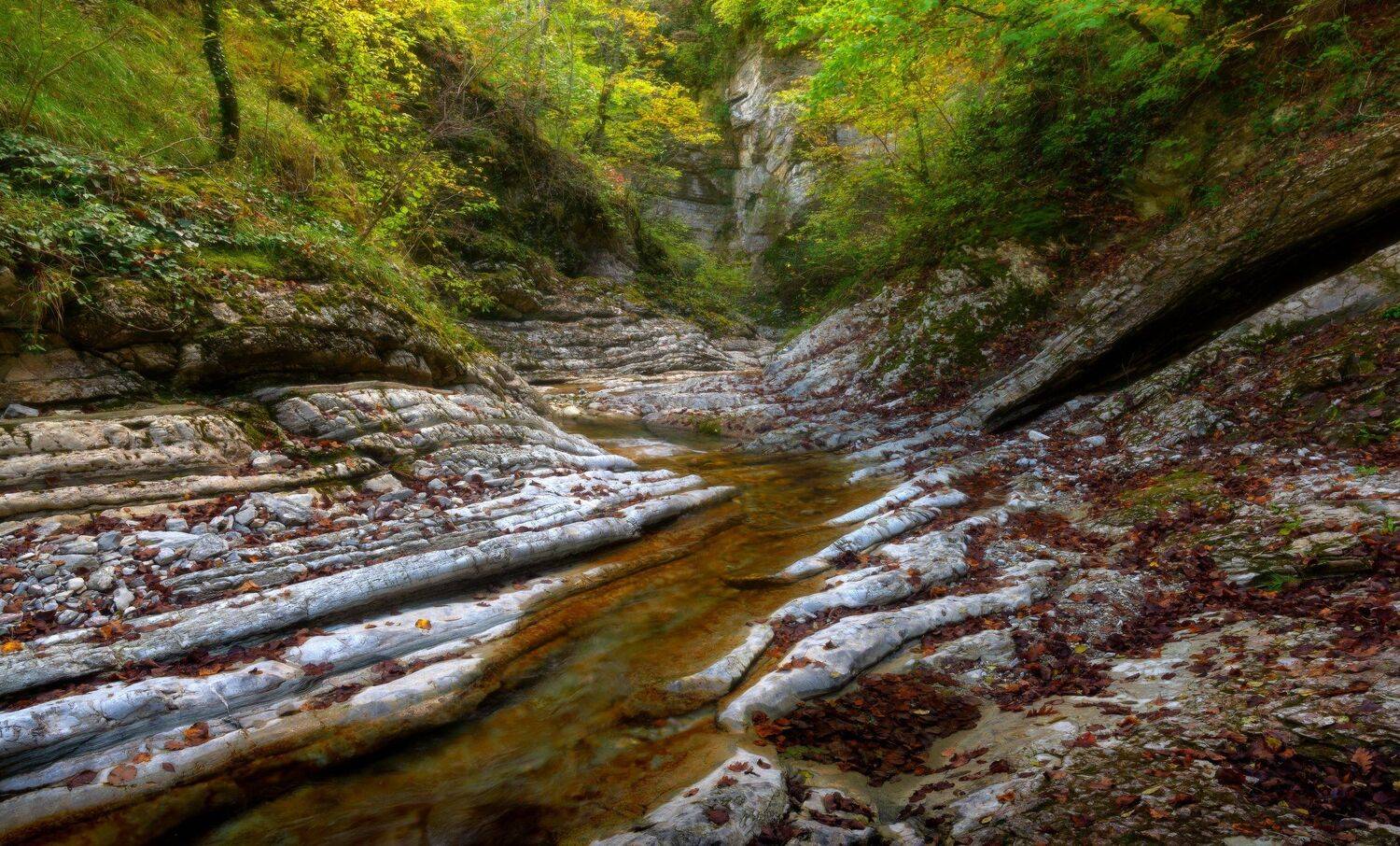 , Alexander Plekhanov