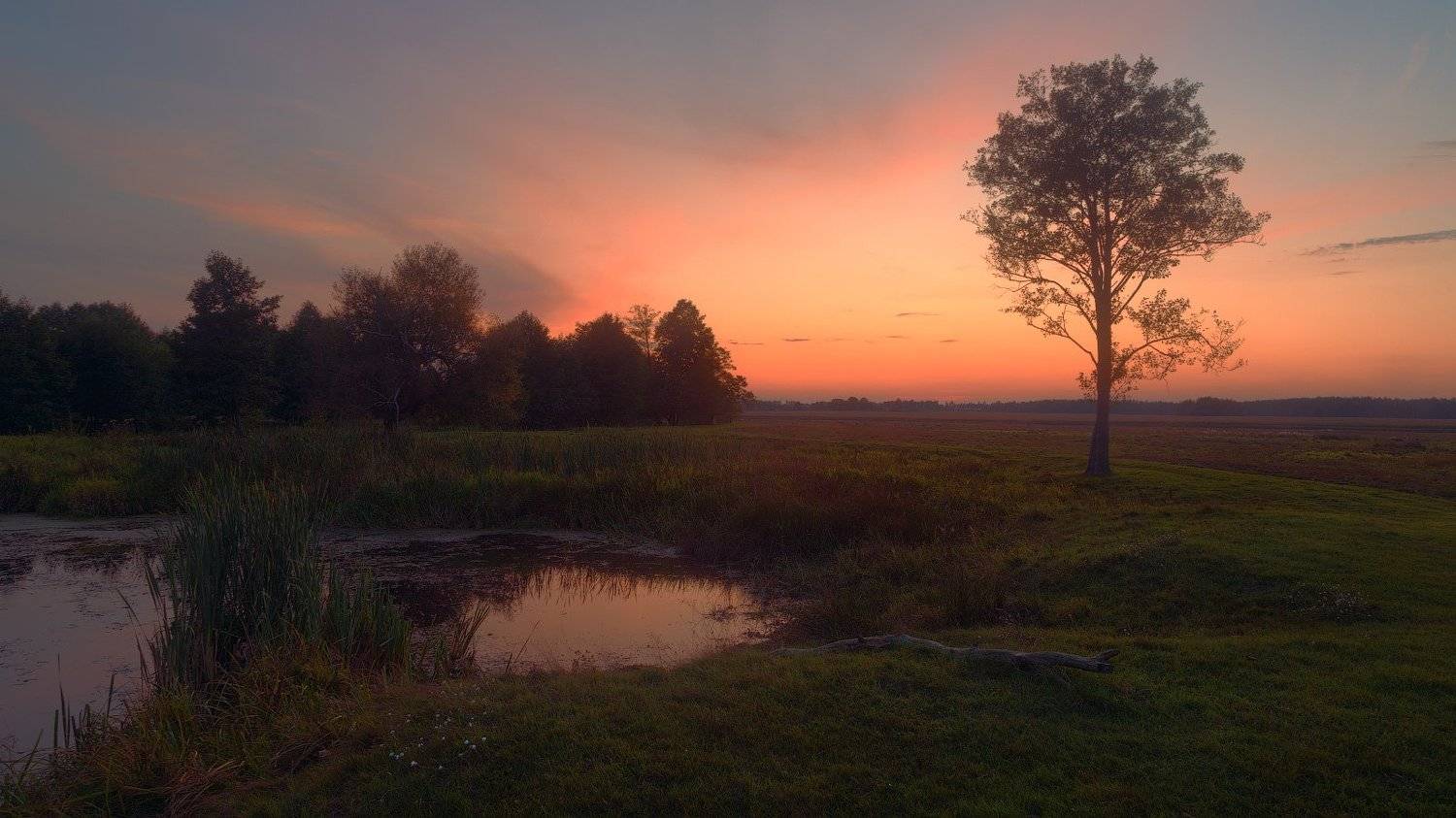 зарево, закат, сентябрь, луг, берег, Михаил Кушнер