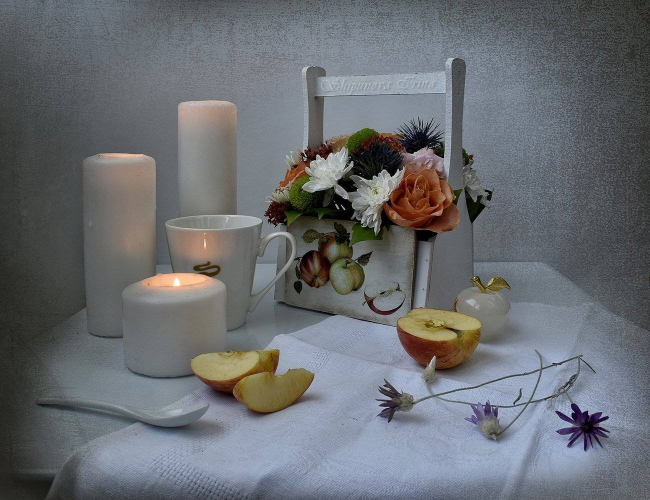 , Шипунова Ирина