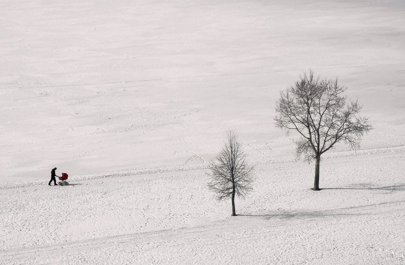 Зимняя прогулка фото превью