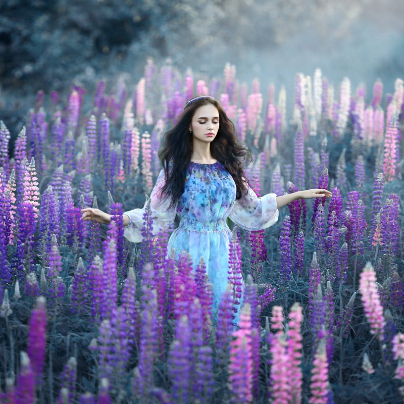 люпины, поле люпинов, девушка в люпинах, сиреневый, фиолетовый, арт фото, брюнетка, розовые люпины Люпины фото превью