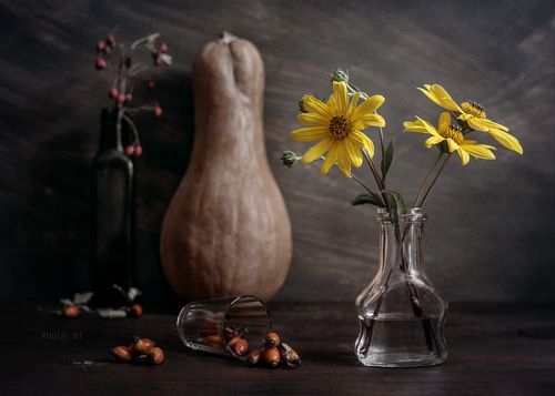 Про топинамбур, тыкву и красные акценты