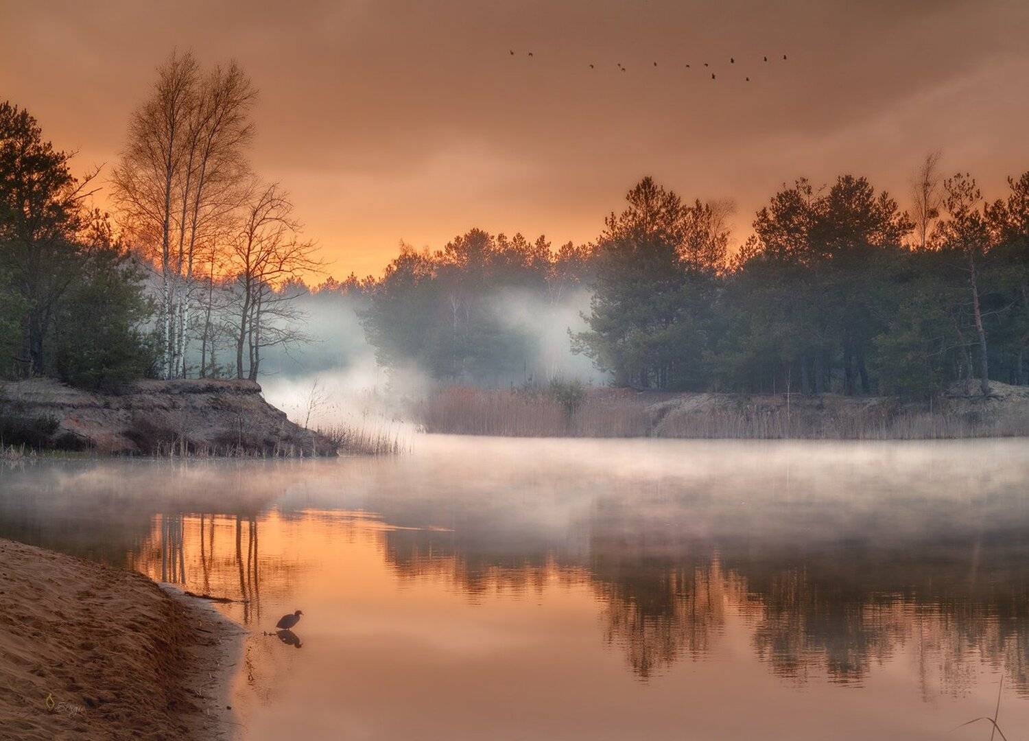 Беларусь, Серж Домбровский