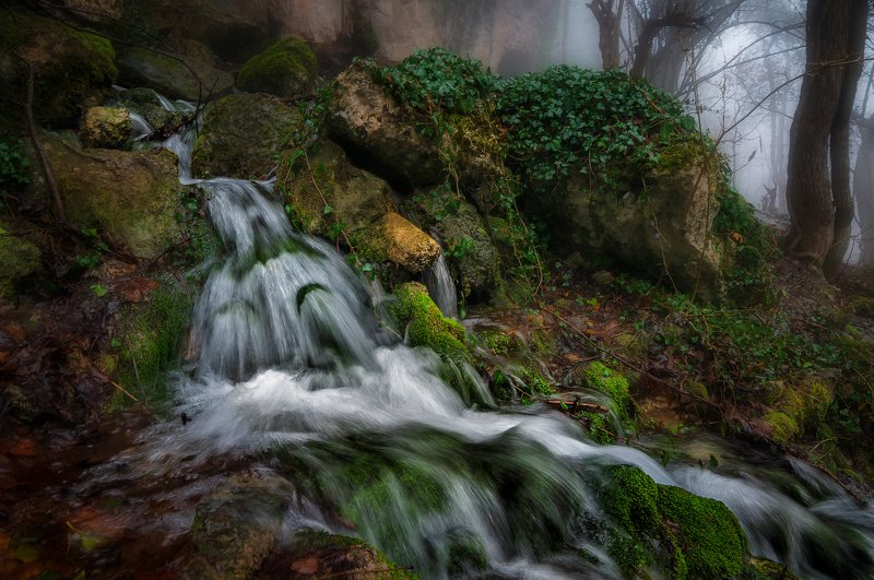 крым, водопад, лес, река, пейзаж, вода, деревья, россия, темиар, ущелье Истоки реки Темиар. фото превью