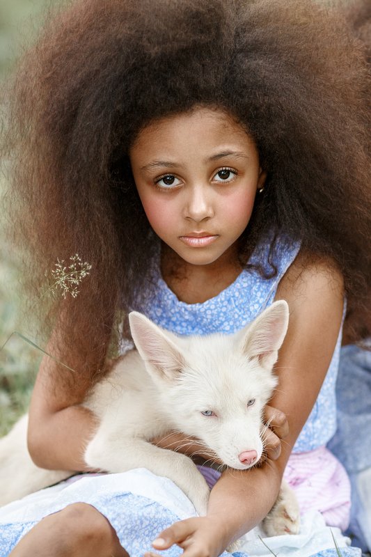 дети Рашель и белый лис фото превью