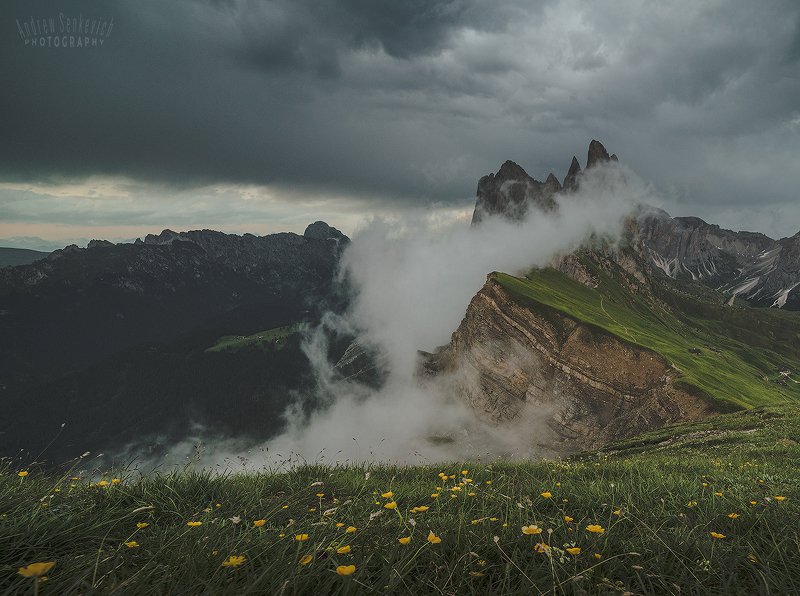 seceda, dolomites Seceda 2500 фото превью