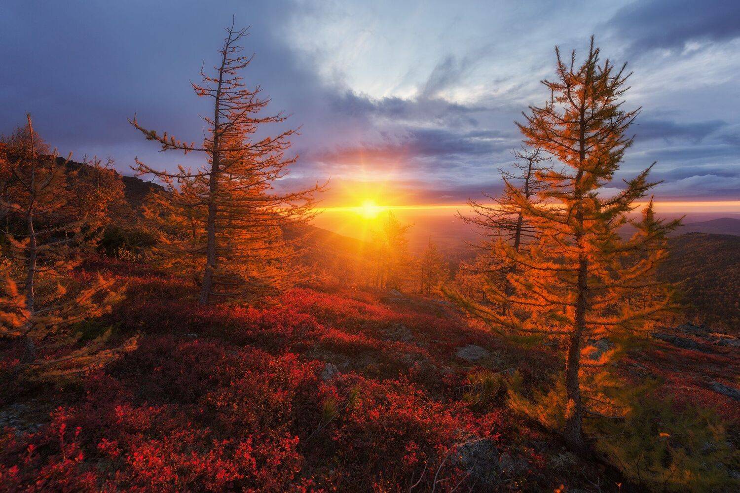 , Михаил Туркеев