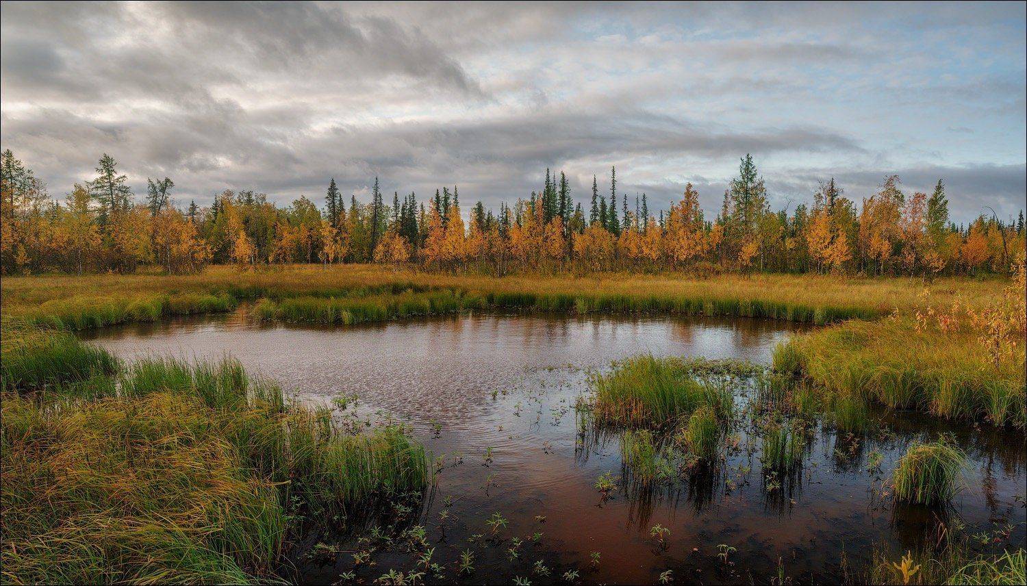 , Роман Чудинович
