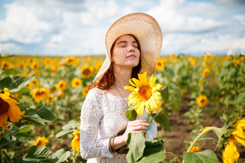 Подсолнухи фото превью