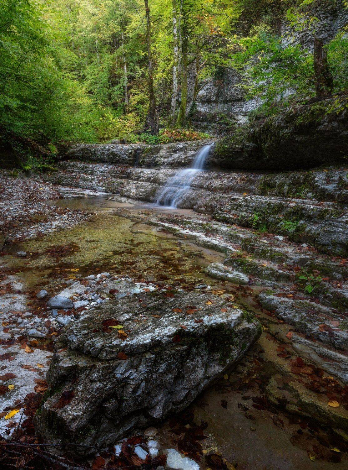 осень, Alexander Plekhanov