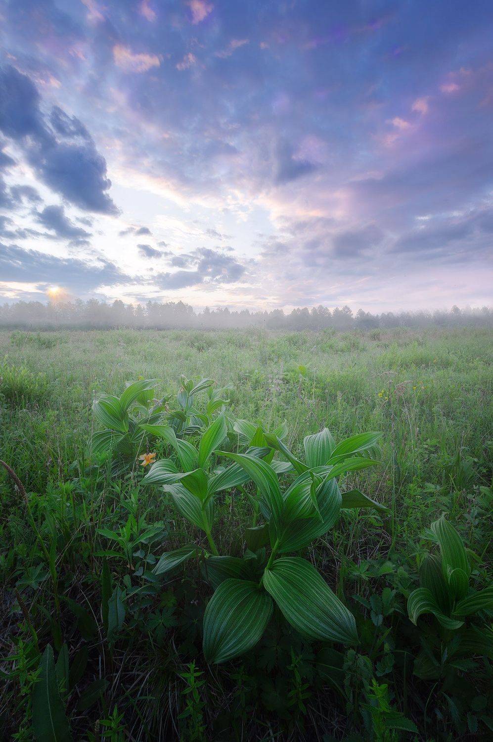 рассвет, природа родного края, пейзажи бурятии, naturelover, landscape, sunrise, Денис Лубсанов