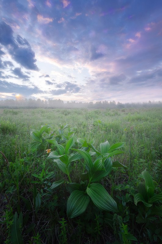 рассвет, природа родного края, пейзажи бурятии, naturelover, landscape, sunrise Рассвет. фото превью