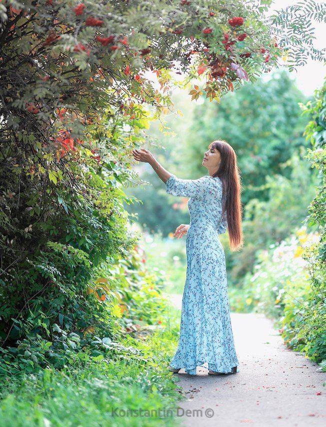 , Константин Дэм