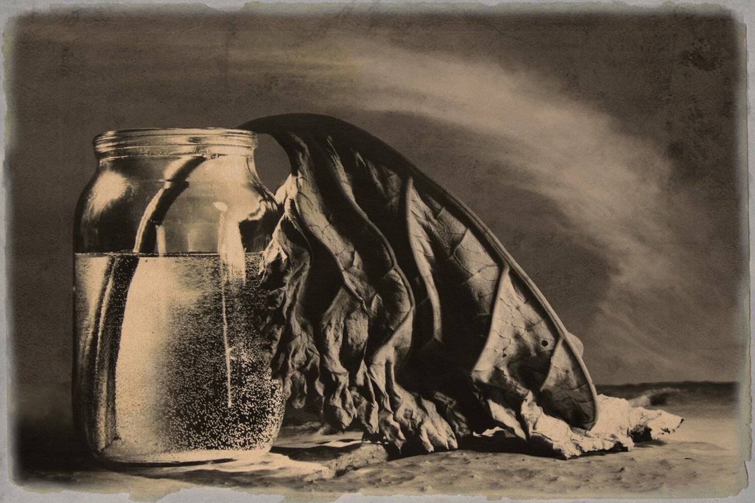 лопух, Виктор Кириллов