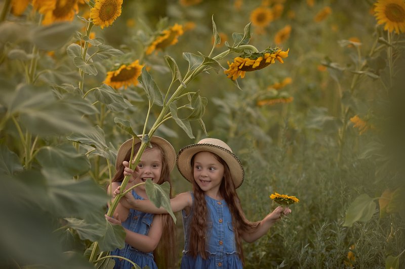 детский портрет, дети, детская фотография, подсолнухи, в подсолнухах, девочка Два подсолнуха фото превью