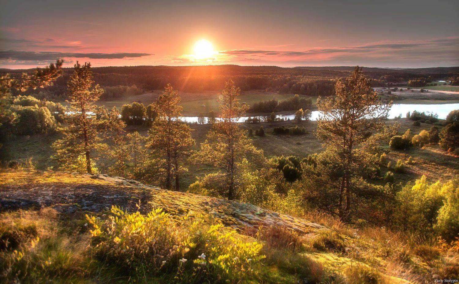 , Юрий Столыпин