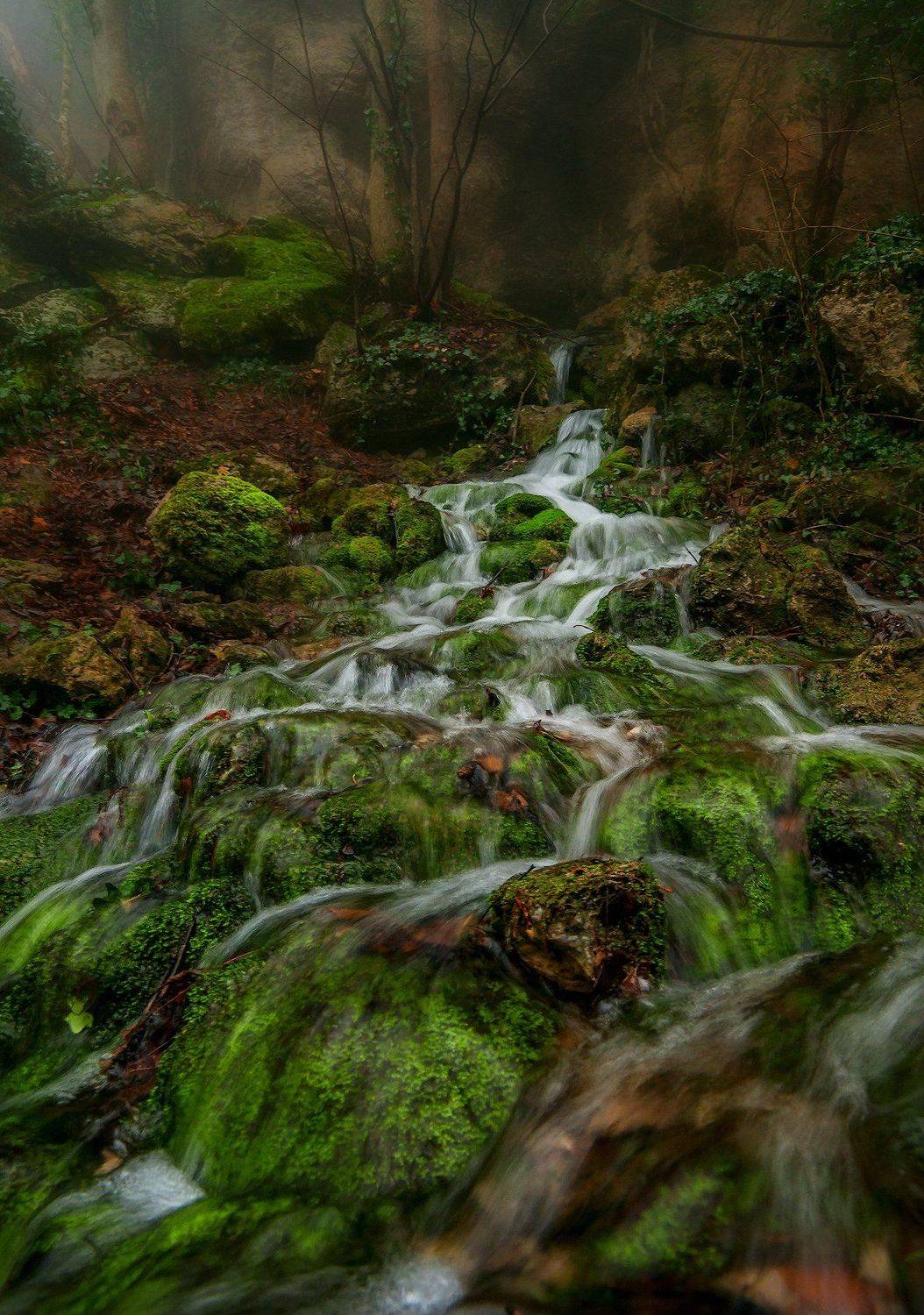 , Владимир Яковлев