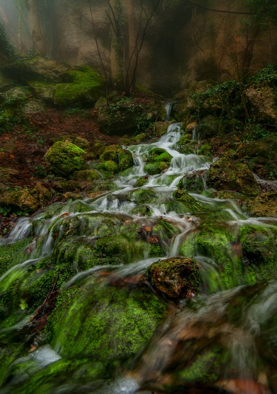 Живая вода. фото превью