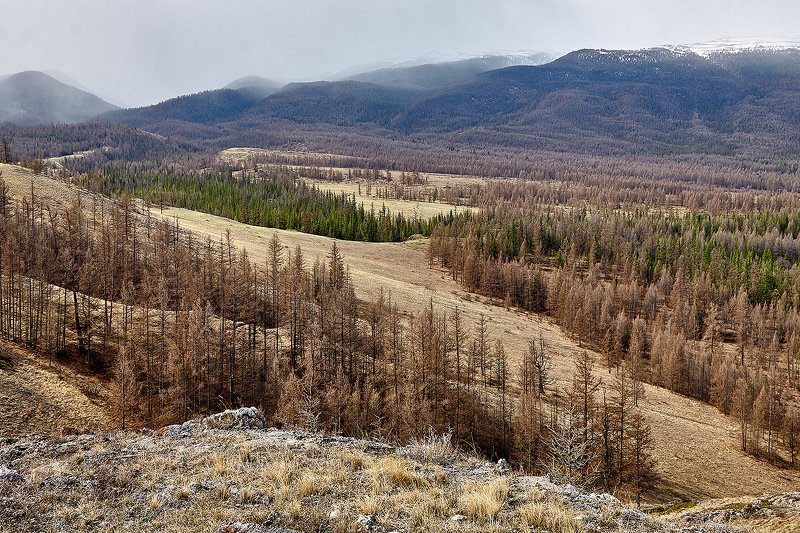 южный, урал, губерля орск, новотроицк, алтай, актру, ледник Ранняя Весна на Алтае! фото превью
