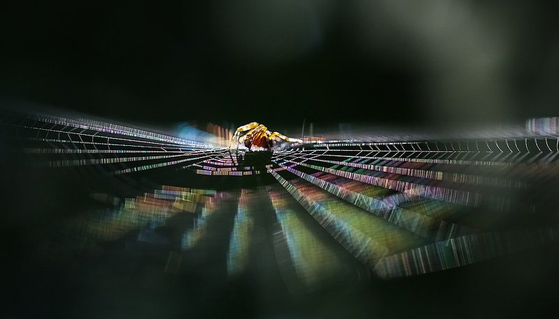 Диджей фото превью