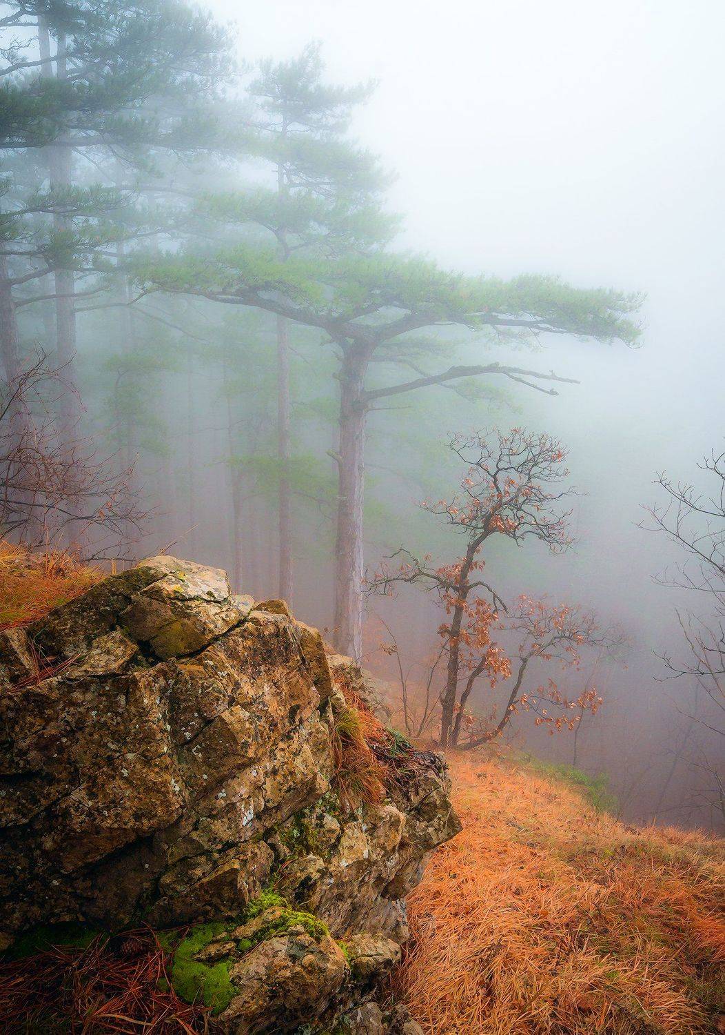 , Владимир Яковлев