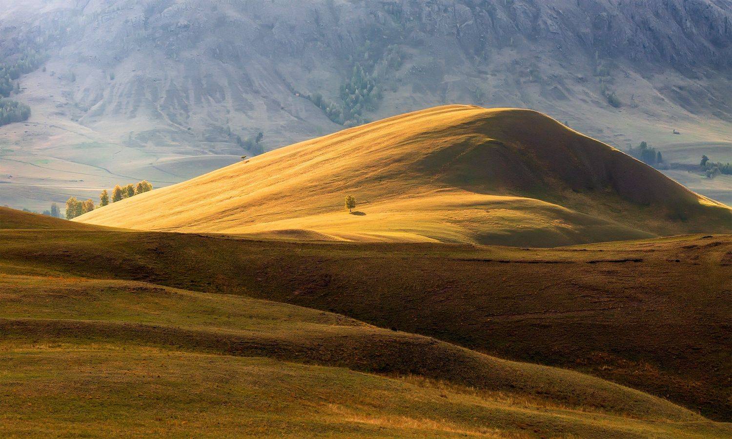 утро, рассвет, восход, туман, лучи, Леонид Максименко