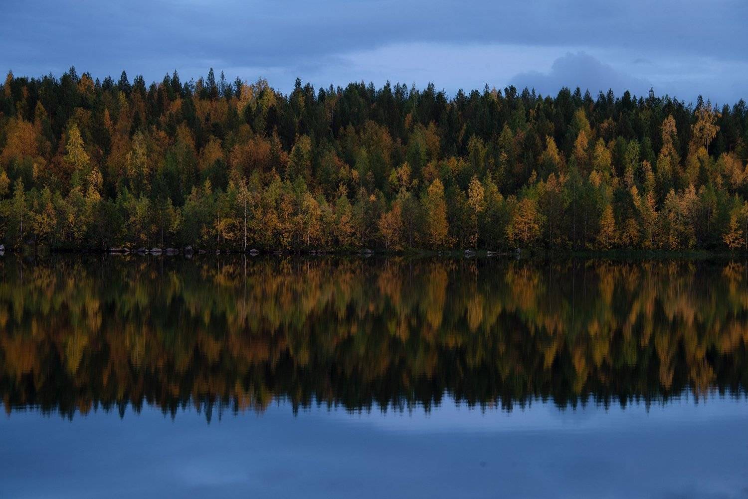 Кольский полуостров, озеро Марфа, осень, autumn, lake, Анастасия Малых