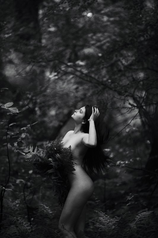 *** фото превью