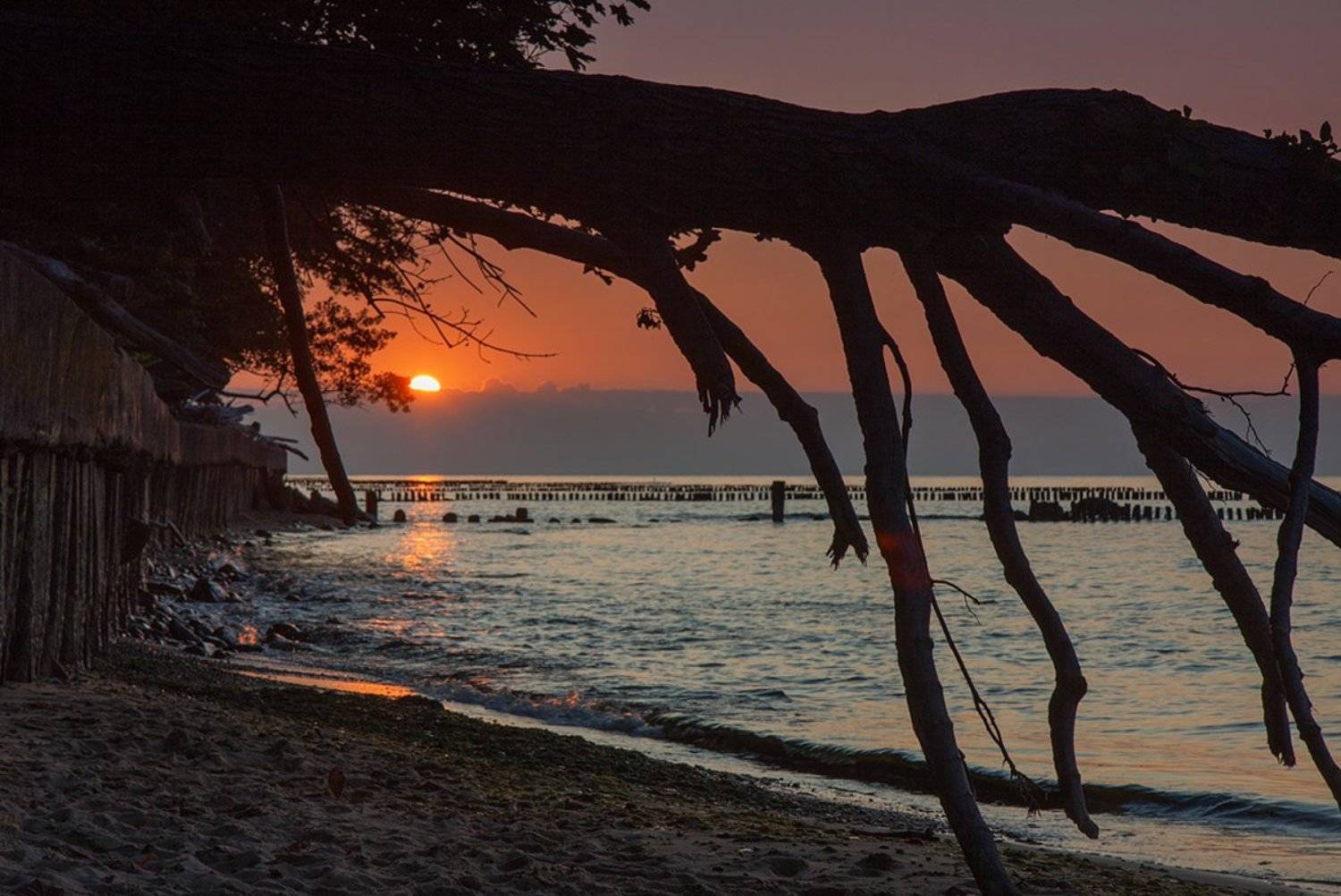 , Геннадий Новов