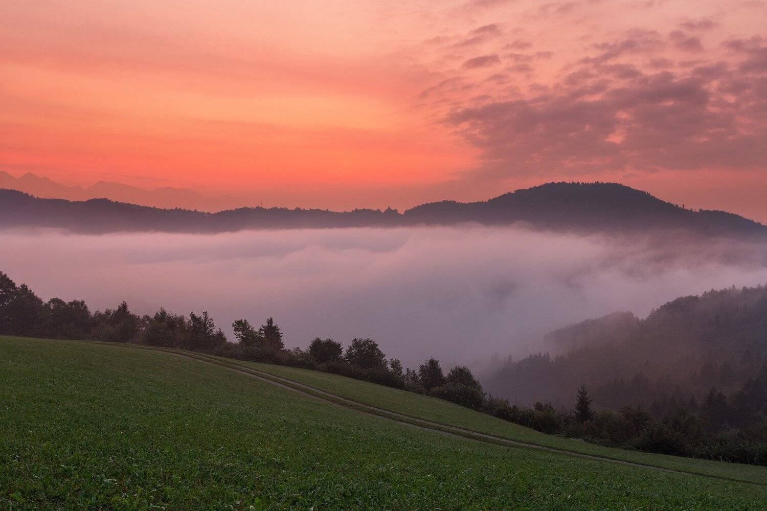 , Андрей Родионов