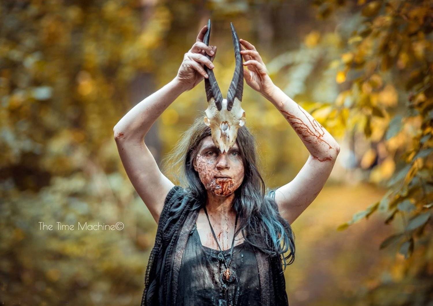 , Михаил Бове