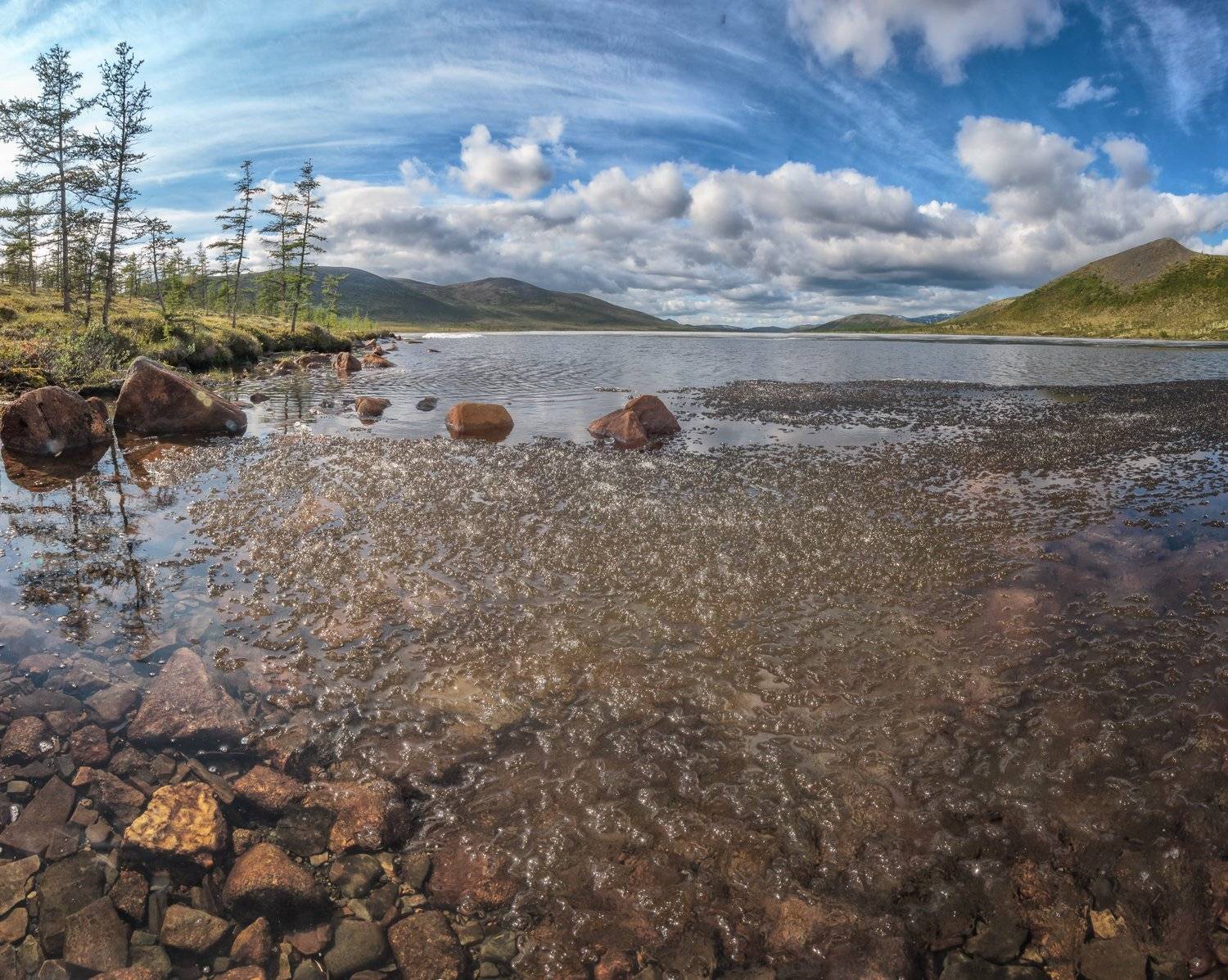 , Николай Андреев