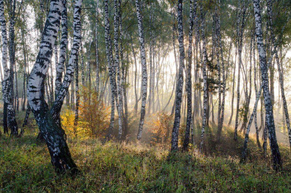 , Юсупов Александр
