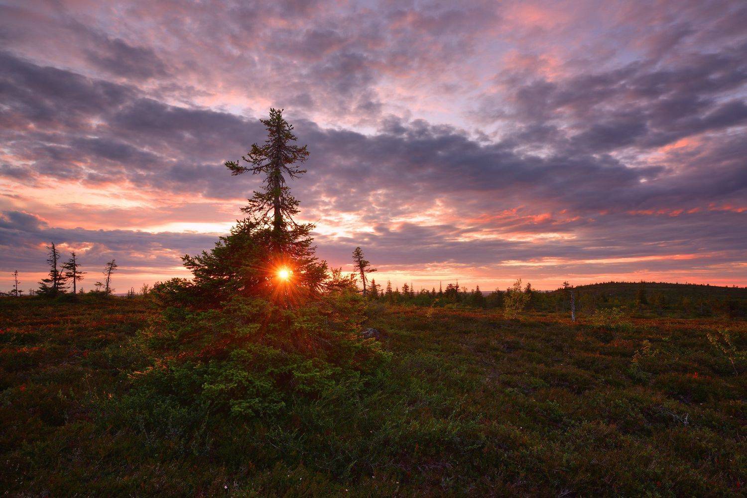 , Максим Евдокимов (phototourtravel.ru)
