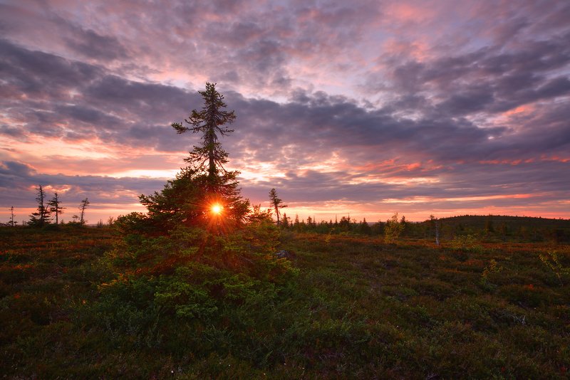 Финские белые ночи.... фото превью