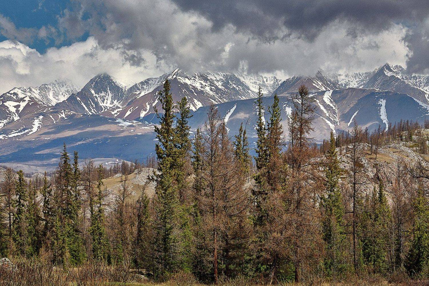 южный, урал, губерля орск, новотроицк, алтай, актру, ледник, Качурин Алексей