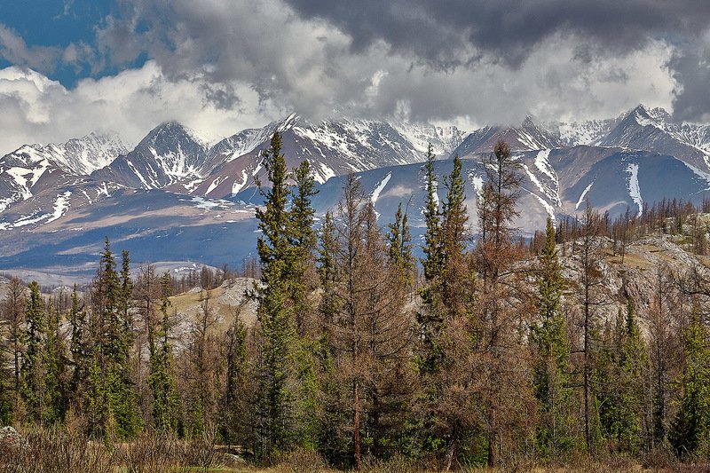 южный, урал, губерля орск, новотроицк, алтай, актру, ледник Весна на Алтае! фото превью